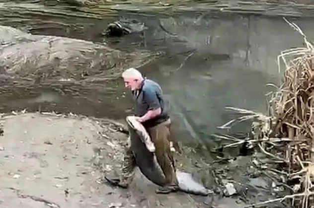 Yaşlı bir adam boyu kadar balığı bakın nasıl yakaladı! O anlar cep telefonu kamerasında