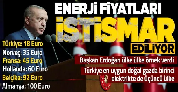 Başkan Erdoğan ülke ülke örnek verdi: Türkiye en uygun elektrik ve doğal gaz hizmeti sunan ülkelerin başında geliyor