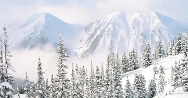 Zirveye yolculuk! Kayak merkezleri sezona hazır