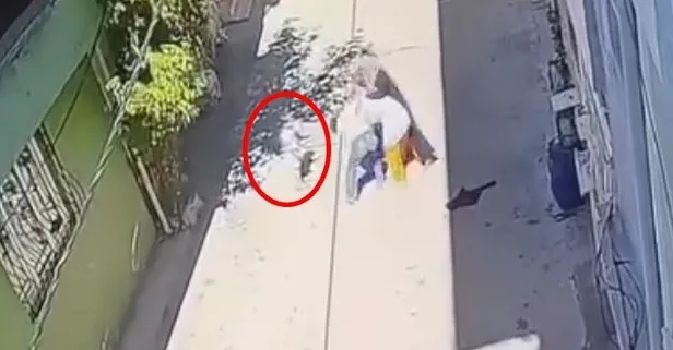 Bursa'da akıl almaz olay: Kucağında çocuğuyla yürüyen kadını darbettiler