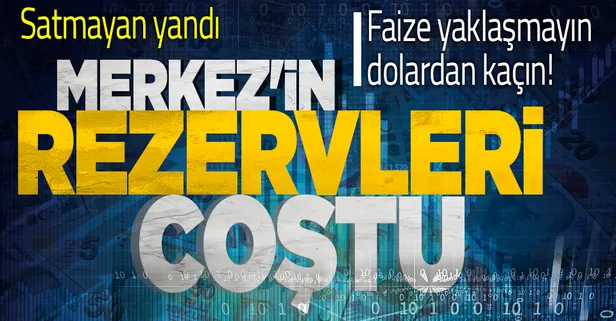 Son dakika! Merkez Bankası'na dolar akıyor! Resmi rezerv varlıkları kasımda 125,6 milyar dolara yükseldi
