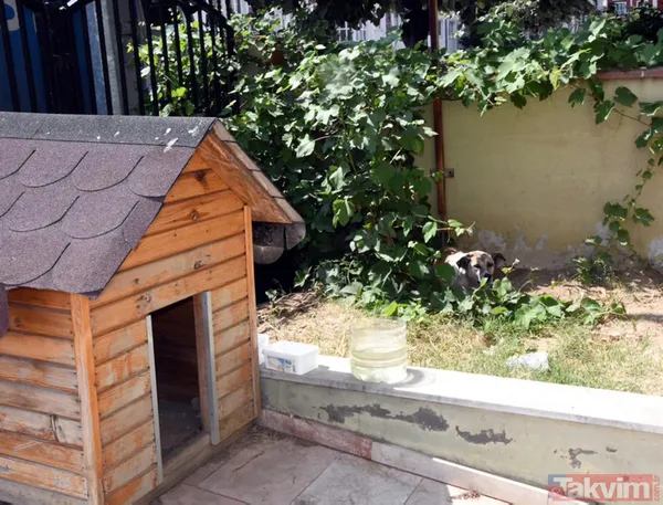 'Daire 16' sözleriyle gündem oldu! Köpük yerinde kalacak - 32