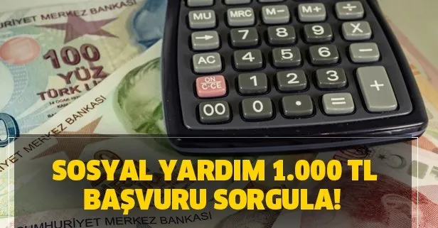 Sosyal yardım 1.000 TL başvuru sorgula! e-Devlet pandemi ödeme başvuru sonuçları
