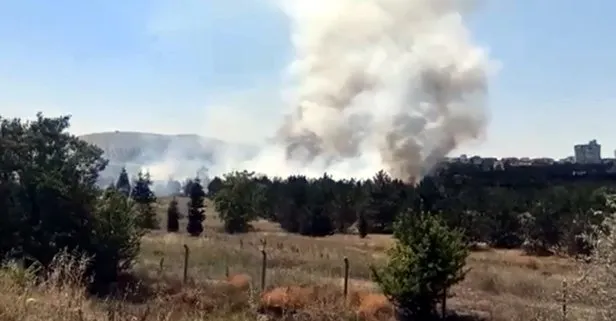 Ankara’da Atatürk Orman Çiftliği arazisinde yangın çıktı! İtfaiye müdahale ediyor