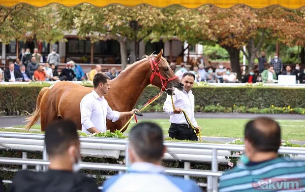 14 at toplamda 4 milyon 640 bin liraya satıldı - 17