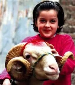 Hadım edilen kurban caiz mi?