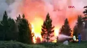 Kastamonu’da orman yangını