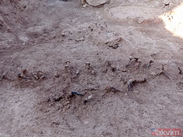 Tam 1500 yıllık! Perre Antik Kenti'nde gizemli tarihi yapı keşfedildi - 4