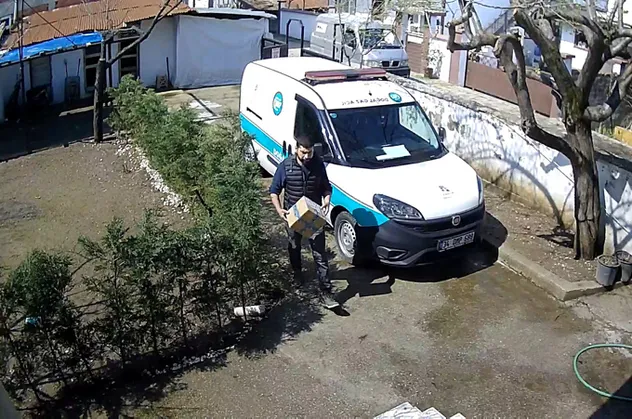 Bahçedeki köpekten korkan kurye ağaca çıktı