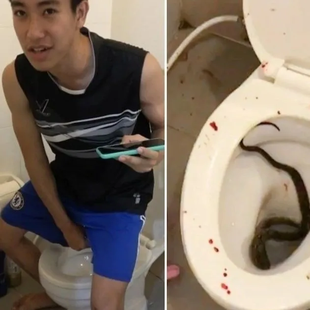 +18 görüntüler | Tuvalette cinsel organını yılan ısırdı! Genç adam bir anda kanlar içinde kaldı