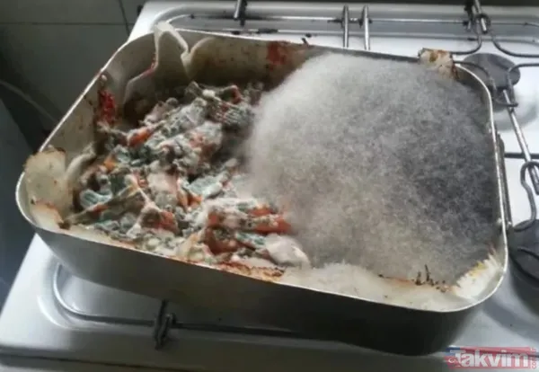 'Bu kadar da olmaz' dedirten iğrenç görüntüler! Mide bulandıran görüntüler - 10