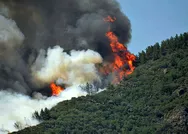 SON DAKİKA! Marmariste orman yangını! Acı haber geldi: 1 şehit