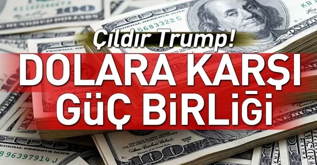 Dolara karşı güç birliği