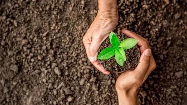 11-kasim-milli-agaclandirma-gunu-gelecege-nefes-ucretsiz-fidan-bagisi-nasil-yapilir-gelecegenefescom-fidan-bagis-sertifikasi-alma-ekrani-1636612765616.jpg 11 Kasım Milli Ağaçlandırma Günü: Geleceğe Nefes Ol ücretsiz fidan bağışı nasıl yapılır? Geleceğenefes.com fidan bağış sertifikası alma ekranı!-2