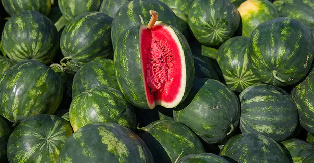 Sezonun ilk karpuz pazarda dilimle satışta: Kilosu 50 TL