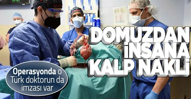 Domuzdan insana ilk kalp nakli | Operasyonu yapan ekip Türk Doç. Dr. Burçin Ekser’in çalışmalarını örnek aldı