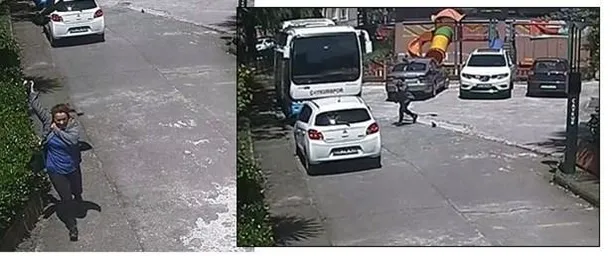 Rize’de yoldaki yavru kargayı kenara koymak isteyen İlknur Civil, yetişkin kargaların saldırısına uğradı-1