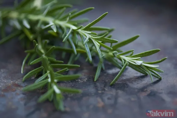 İbn-i Sina'dan şifa kaynağı baharat: En yaygın sağlık sorununa doğal çözüm - 8