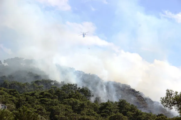Son dakika haberi: Bodrum'da orman yangını-1