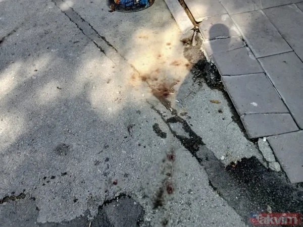 Ankara'da istek şarkı cinayeti: Onur Şener'i canice katlettiler! Şüpheliler ifadelerinde birbirlerini sattı: İlker kafasına vurdu - 12