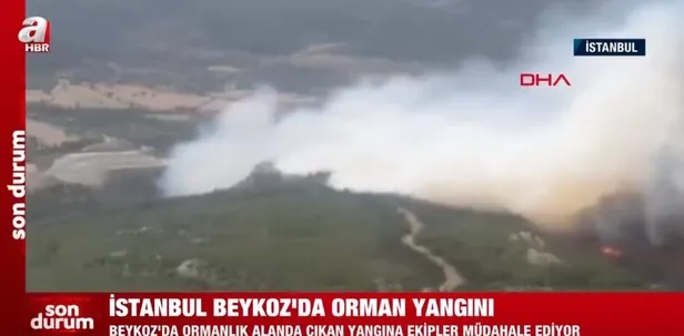 son-dakika-istanbul-beykozda-orman-yangini-helikopterler-havalandi-cok-sayida-ekip-gorevde-1690377546898.jpeg Son dakika: İstanbul Beykoz'da orman yangını! 13 hektarlık alan küle döndü-2