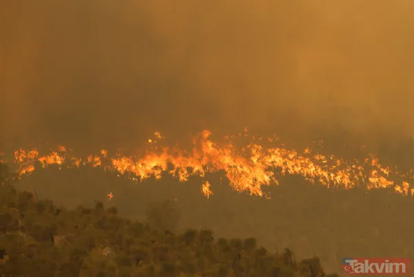 SON DAKİKA: Avustralya'da yangın faciası! 71 ev kül oldu - 13