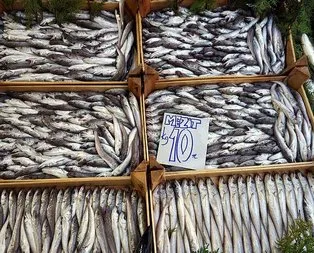 Türk balığı 70 ülkenin sofrasında