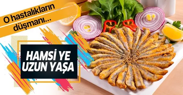 Hamsi ye uzun yaşa