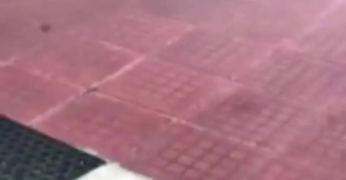 Dehşeti yaşadılar! Her şey bir anda oldu
