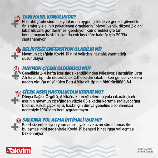 SON DAKİKA! Bakan Koca'dan flaş maymun çiçeği açıklaması! Türkiye'de ilk vaka! Maymun çiçeği hangi ilde görüldü?-10