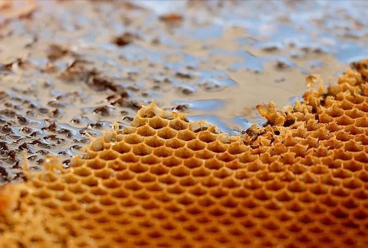 Kansızlığa bal gibi şifa