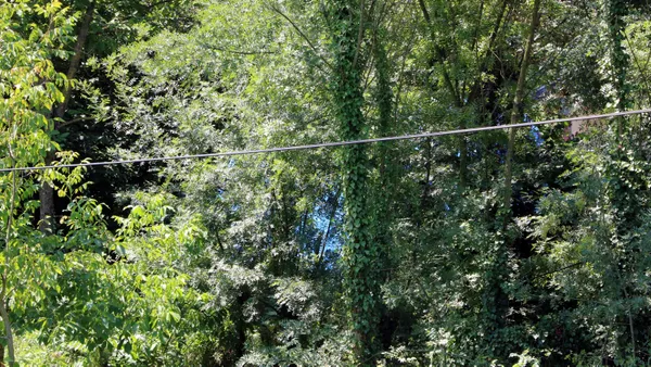 zonguldakta-iki-insaat-iscisi-ormanlik-alanda-gomulu-halde-bulunmustu-sok-ifadeler-iddianamede-traktoru-calistir-silah-sesi-duyulmasin-1619597742026.jpg Zonguldak'ta iki inşaat işçisi ormanlık alanda gömülü halde bulunmuştu: Şok ifadeler iddianamede Traktörü çalıştır silah sesi duyulmasın-4