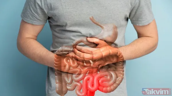 Her gün yiyoruz bağırsakları sessizce çökertiyor: Uzmanlardan 4 kritik uyarı - 1