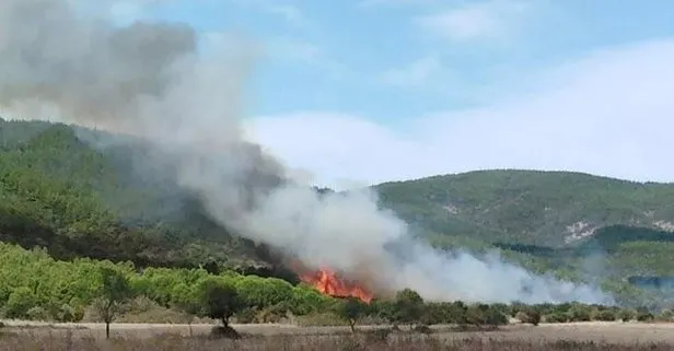 Son dakika: Çanakkale’de orman yangını