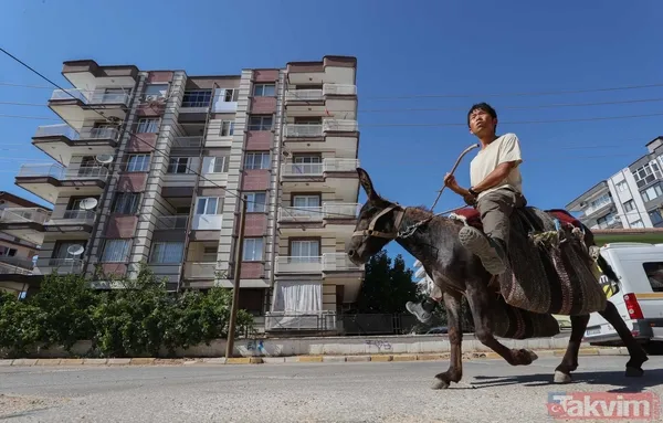 Günün en ilginç haberi: Japon turist Merzifon'dan aldığı eşekle Türkiye'yi gezdi - 5