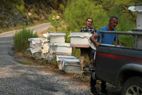 Alanya Dim Çayı Barajı yakınlarında orman yangını kontrol altına alındı! 17 ev etkilendi-11