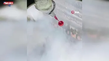 Bornova’da orman yangını!