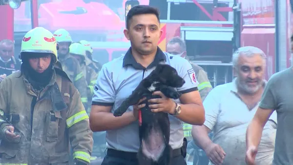 istanbul-ikitellide-yangin-faciasi-anne-kopek-ve-yavrusu-sag-olarak-kurtuldu-1630481741940.jpg İstanbul İkitelli'de yangın faciası! Anne köpek ve yavrusu sağ olarak kurtuldu-2