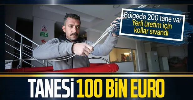 Tanesi 100 bin euro! Yerli üretim için kollar sıvandı