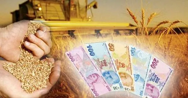 3 milyar lira hibe desteği açıklandı!
