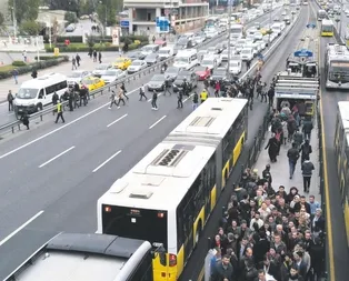 Metrobüs hare’kedi’