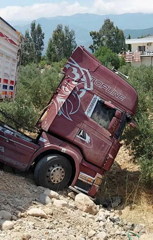 Kontrolden çıkan tır zeytin bahçesine girdi