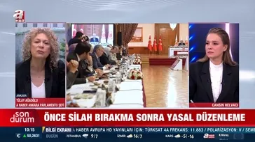 Terörü bitirecek 7 maddelik plan!