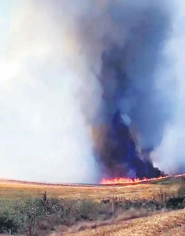 Bin dönüm buğday tarlası daha kül oldu!-1
