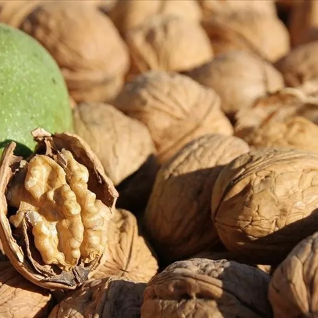 Kabızlığı cevizle yenin