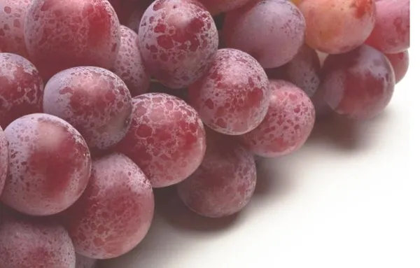 bu-uzumu-almak-her-babayigidin-harci-degil-bir-salkimi-12-bin-700-dolara-alici-buldu-1626510549209.jpg Bu üzümü almak her babayiğidin harcı değil! Bir salkımı 12 bin 700 dolara alıcı buldu-5