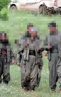 İçişleri'nden çarpıcı PKK raporu!