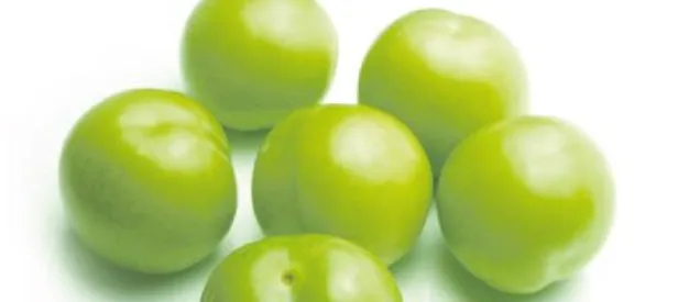 Eriğin kilosu 583 lira