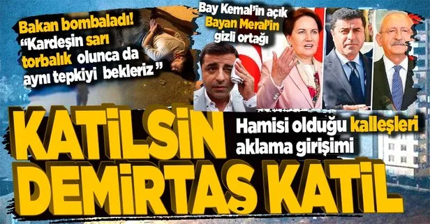 Mersin’deki hain saldırı sonrası Selahattin Demirtaş’tan PKK’yı temize çıkarma çabası! Rezil açıklama pespaye bir dil...