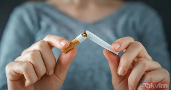 21 Haziran 2022 güncel sigara fiyatları ne kadar? Sigaraya 9 TL'lik dev zam! Sigara zammı 2022 ne kadar? Philip Morris, BAT ve JTİ güncel fiyatları! En ucuzu... - 13